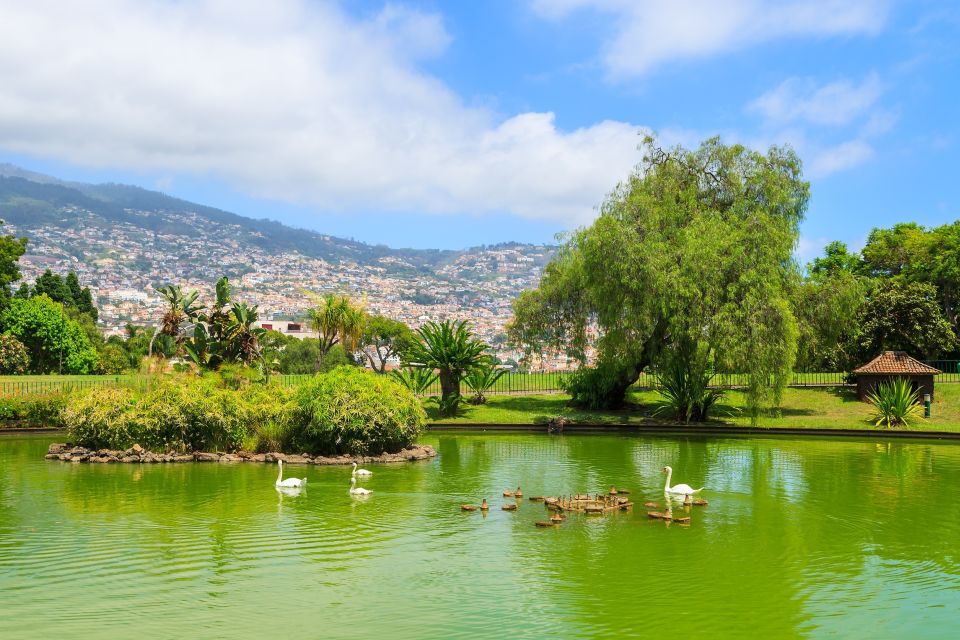 Funchal Tour and Câmara De Lobos Tour - Key Points