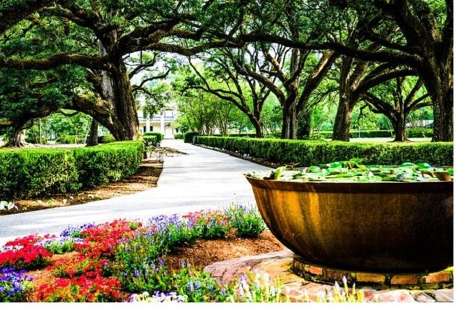 Garden District History and Homes Walking Tour - Key Points