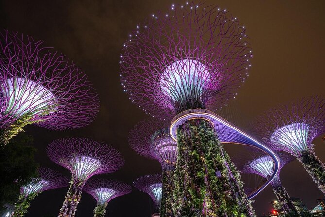 Gardens By The Bay Night Long-Exposure Photography - Key Points