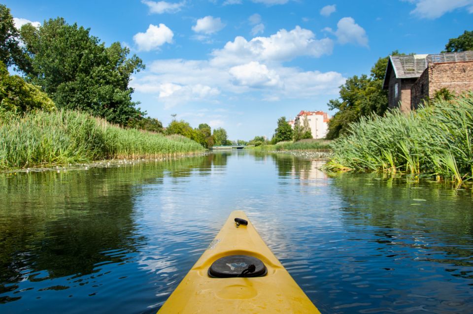 Gdansk: Guided Kayak Tour - Key Points