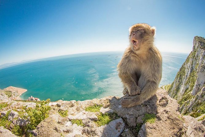 Gibraltar Day Trip From Seville - Key Points