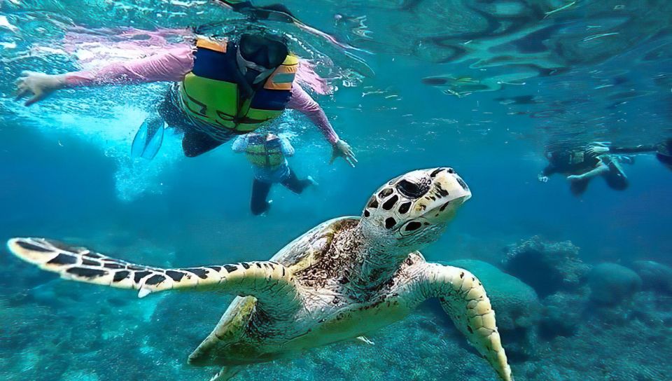 Gili Islands Snorkeling Adventure - Key Points