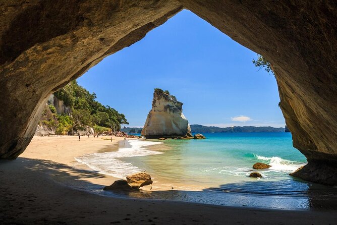 Glass Bottom Boat Whitianga Cathedral Cove Cruise - Key Points