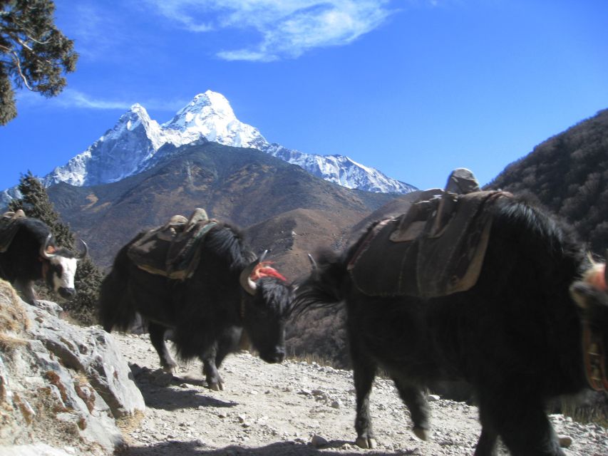 Glimpse of the Mount Everest- 7 Days Trek From Kathmandu - Key Points