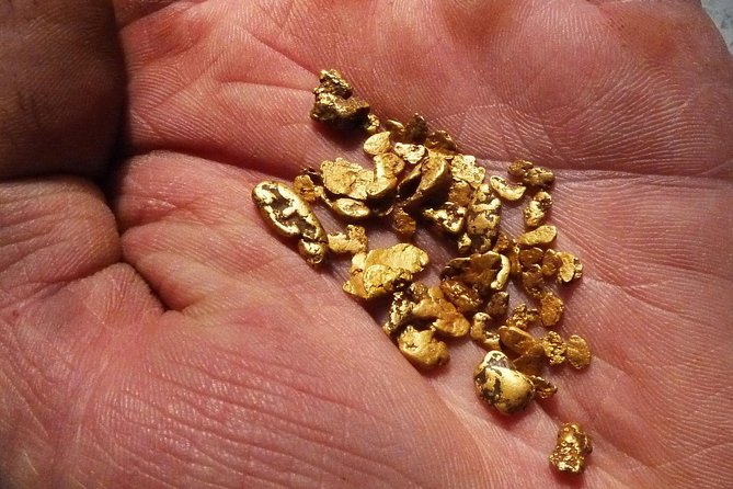 Gold Hunting Adventures - Key Points