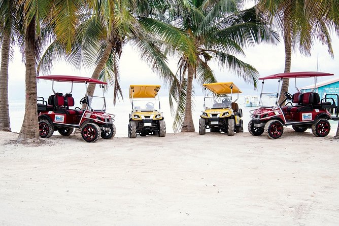 Golf Cart Rental in Belize - Key Points