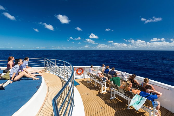 Great Barrier Reef Snorkeling and Diving Cruise From Cairns - Just The Basics