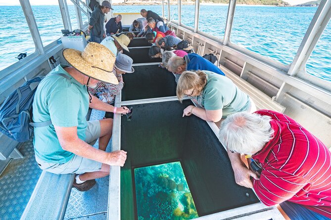 Great Keppel Island Glass Bottom Boat Tour & Ferry Transfer - Key Points