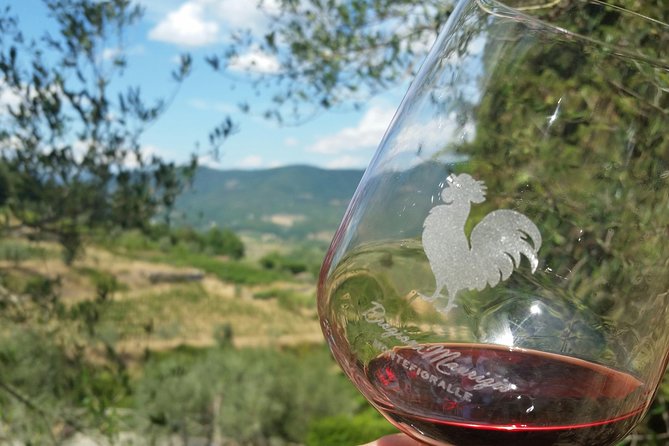 Greve in Chianti Wine Tasting and Winery Tour - Key Points