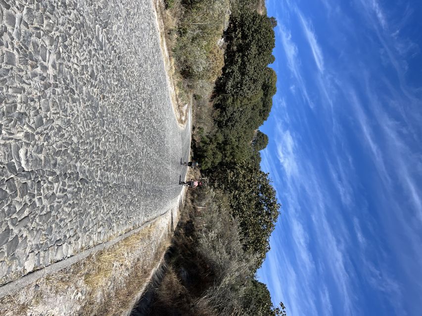 Guadalajara: La Primavera Forest 25-km Mountain Biking Tour - Key Points