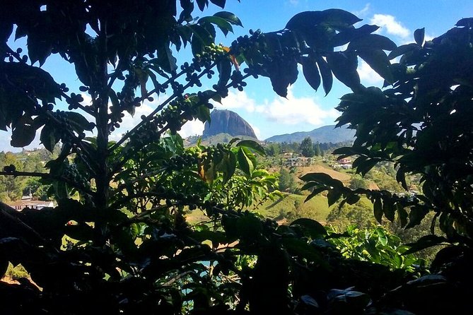 Guatape Rock & Coffee Tour & Picturesque Town, All in One Day - Key Points