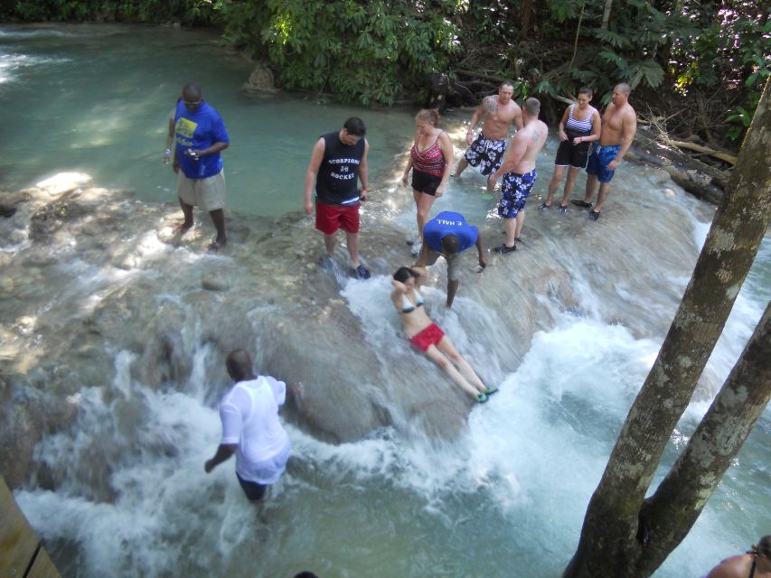 Guided Beach Horseback Riding, Dunn's River Falls & Park - Booking Details