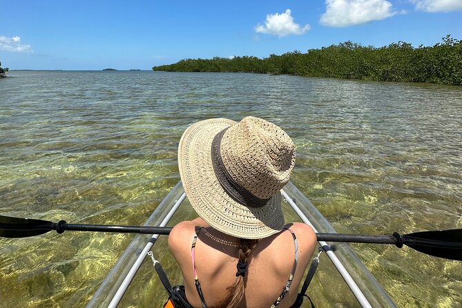 Guided Clear Kayak Eco-Tour Near Key West - Just The Basics