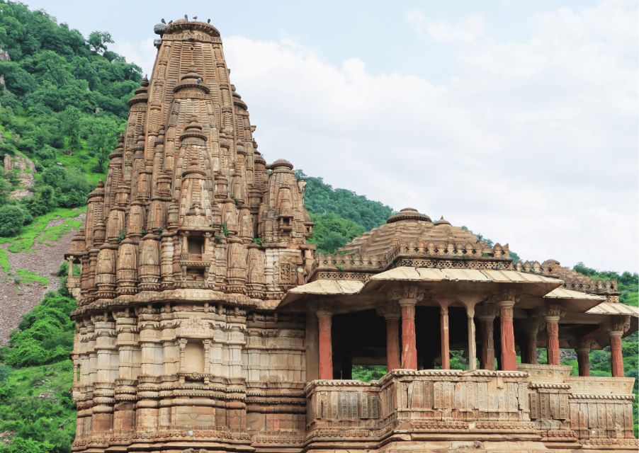 Guided Day Trip to Abhaneri & Haunted Bhangarh From Jaipur - Key Points