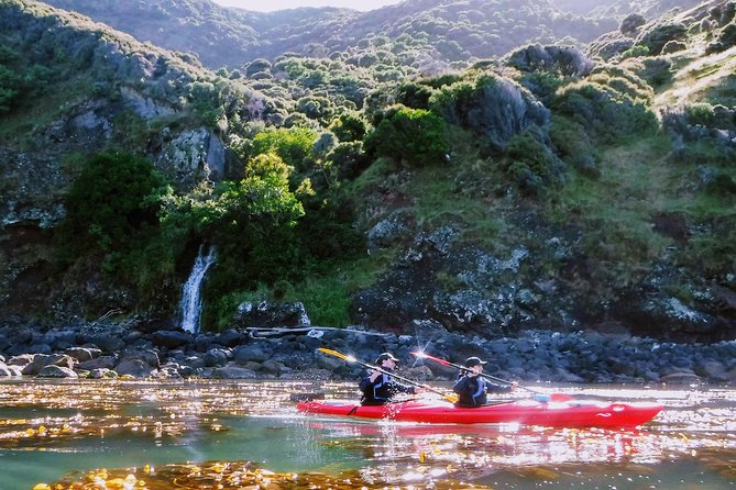 Guided Electric Mountain Bike & Sea Kayak Tour in Akaroa - Key Points