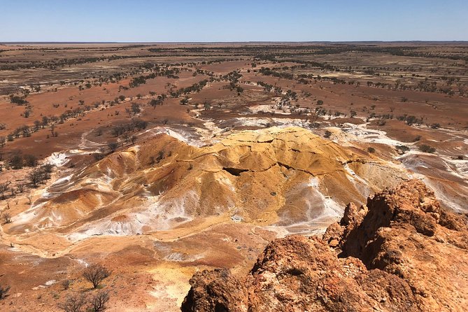 Guided Group Tour to Lark Quarrys Dinosaur Trackways (Mar ) - Just The Basics