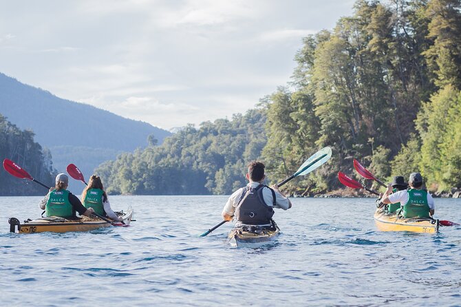 Guided Half Day Kayak Tour With Picnic in Villa La Angostura - Key Points