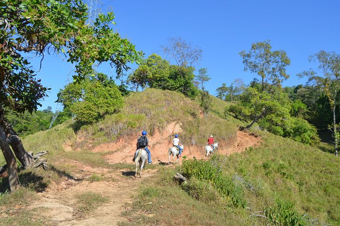 Guided Horseback Riding Tour in Manuel Antonio  - Quepos - Key Points