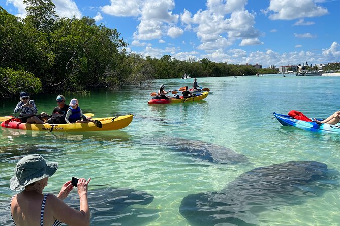 Guided Island Eco Tour - CLEAR or Standard Kayak or Board - Just The Basics