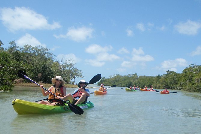 Guided Kayak Eco Tour - Bunche Beach - Just The Basics