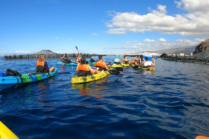 Guided Kayak Tour From Los Cristianos Beach Tenerife - Just The Basics