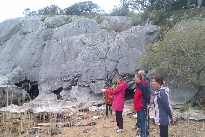 Guided Killarney National Park Walking Tour - Tour Highlights