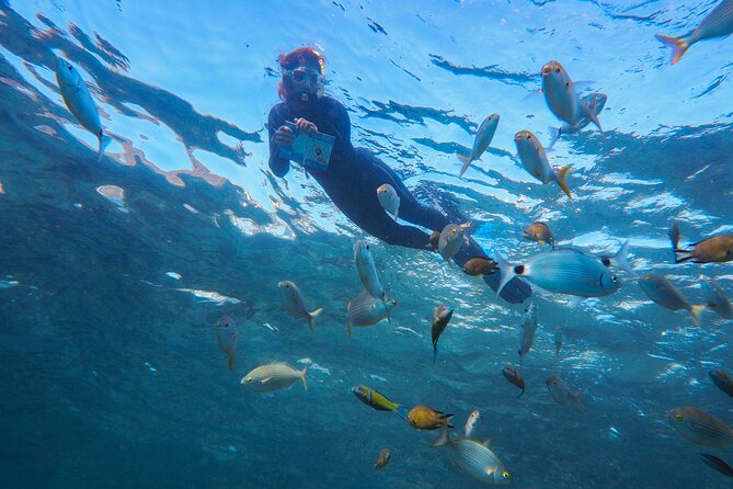 Guided Snorkel Experience - Equipment Provided During Snorkeling