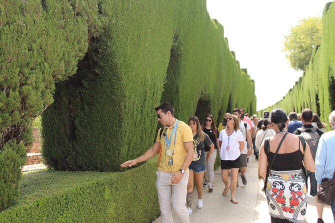 Guided Visit to the Alhambra, Nasrid Palaces and Generalife - Tour Highlights