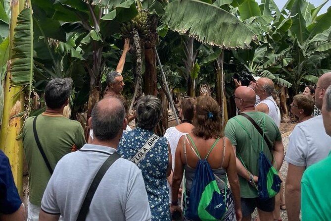 Guided Visit to the Banana Museum - Just The Basics