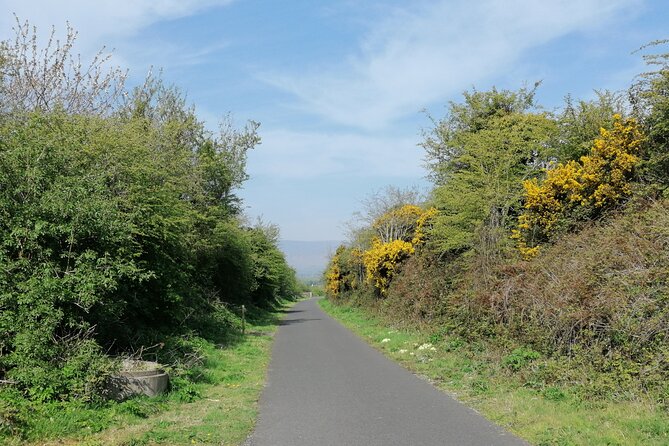 Guided Walking Tour in Stunning County Waterford Ireland - Itinerary Overview