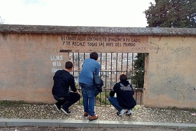 Guided Walking Tour With Panoramic Views and Terraces of Granada - Tour Highlights