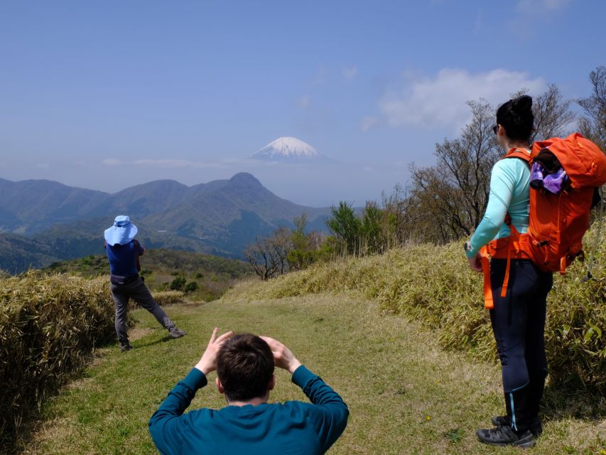 Hakone: Traverse the Hakone Caldera and Enjoy Onsen - Just The Basics