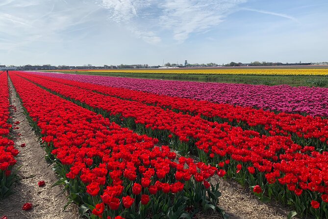 Half a Day Bicycle Tour to Flower Park Keukenhof - Tour Details