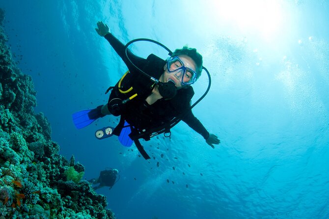 Half Day Boat Diving Experience in Kos Greece - Just The Basics