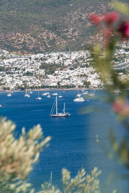 Half Day Bodrum (Halicarnasos) Tour by Car - Key Points