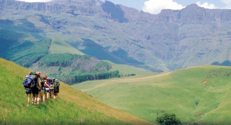 Half Day Drakensberg Tour From Durban