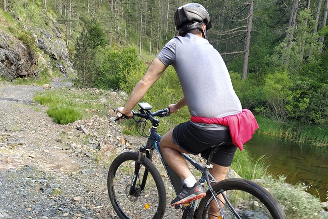 Half-Day E-Mountain Bike Adventure at Aoos Lake Metsovo - Key Points