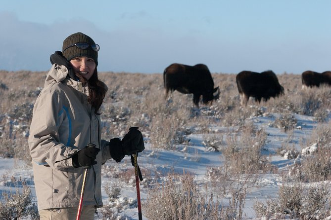 Half Day Grand Teton Wildlife Safari Tour - Just The Basics