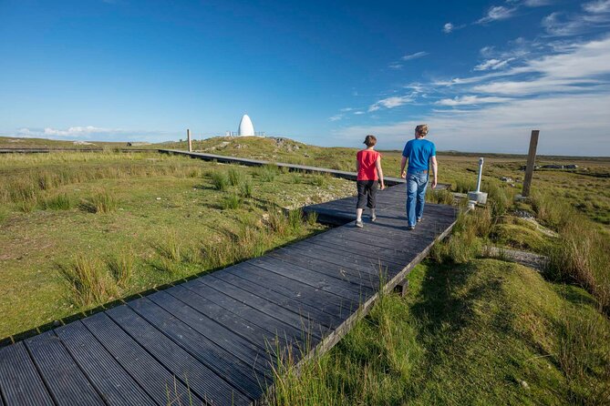 Half-Day Guided Derrygimlagh Bog Looped Walk in Connemara - Key Points