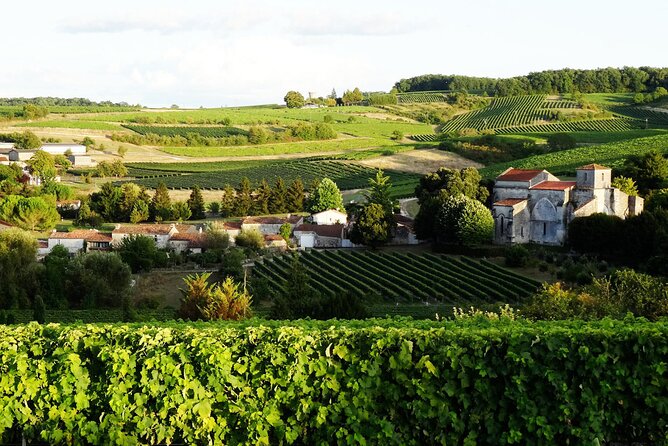 Half-day Guided E-Bike Ride to Discover The Cognac Vineyard - Key Points