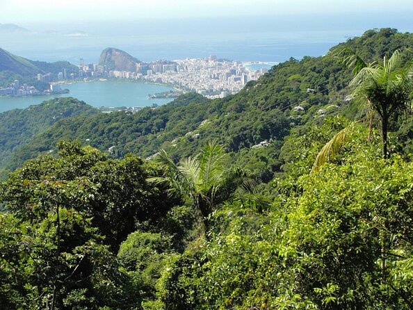 Half-Day Guided Tour of Tijuca Forest National Park  - Rio De Janeiro - Key Points