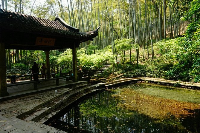 Half-Day Hangzhou Yunxi Bamboo Forest and Tea Plantation Experience - Key Points