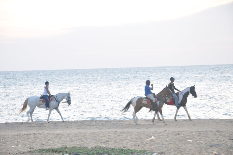 Half-Day Horse Riding in Kalpitiya - Key Points
