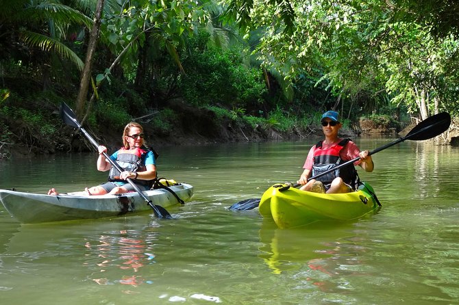 Half-Day Mangroves Tour by Kayak With a Naturalist Guide (Mar ) - Key Points