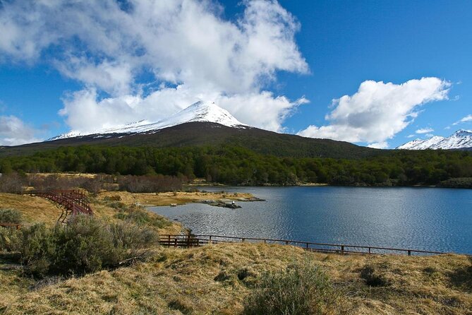 Half-Day Tierra Del Fuego National Park With Lunch and Drinks - Key Points