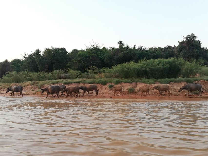 Half Day Tour to Kampong Phluk Village and Tonle Sap Lake - Key Points