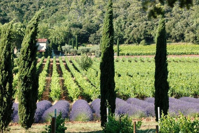 Half Day Wine Tour in Côteaux Aix From Aix En Provence - Key Points