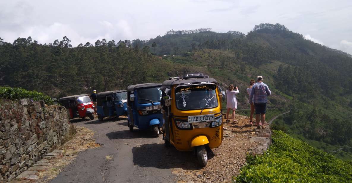 Haputale: Ella, Small Adam's Peak, & Nine Arches Bridge Hike - Key Points