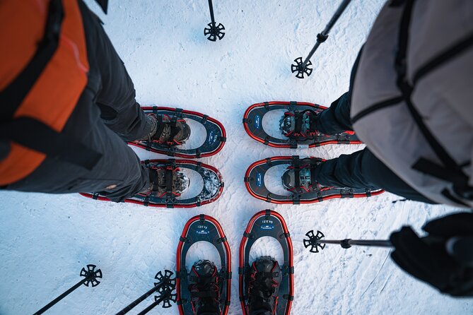 Hardangerfjord Winter Wonders on a Exclusive Guided Snowshoe Hike - Winter Beauty of Hardangerfjord