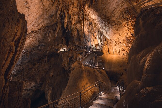 Hastings Caves, Tahune and Huon Valley Full Day Tour From Hobart - Key Points